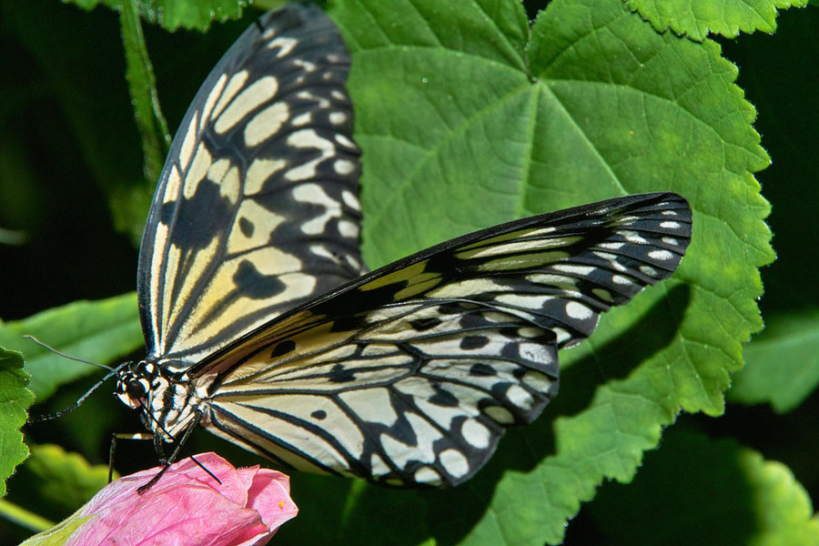 Sample 31.jpg