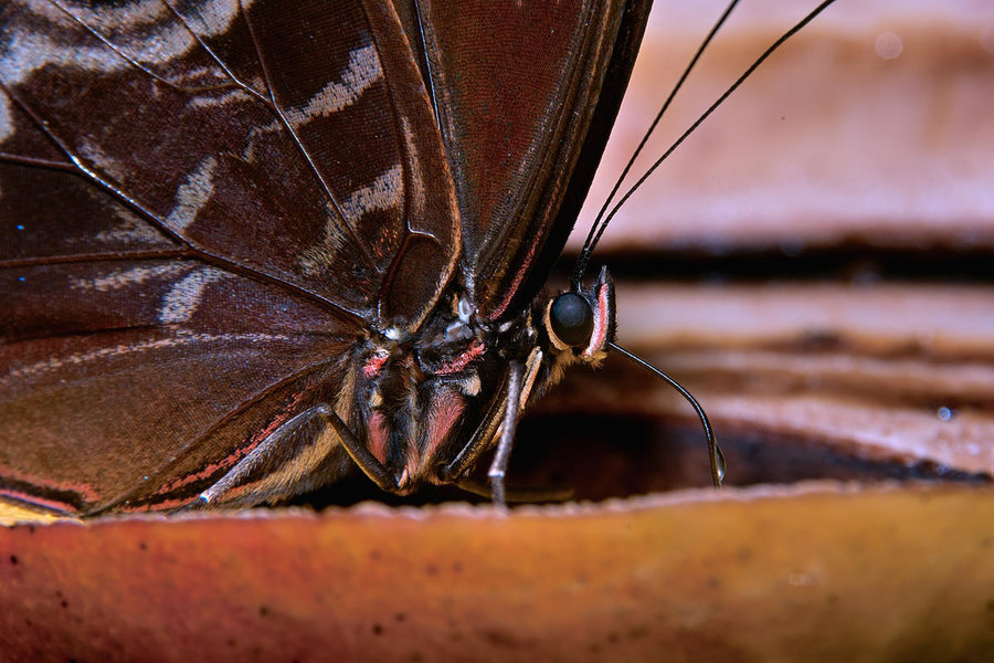 Sample 32.jpg