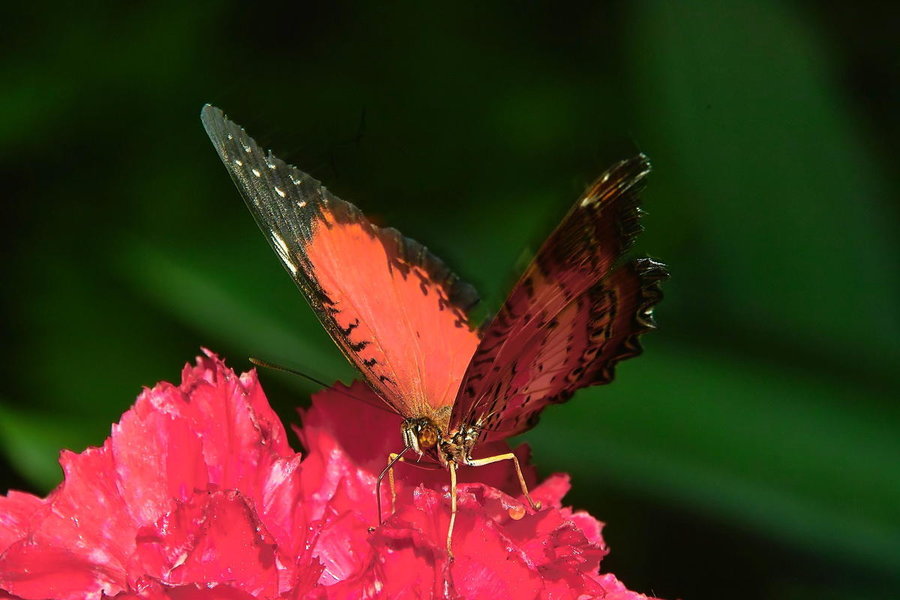 Sample 44.jpg