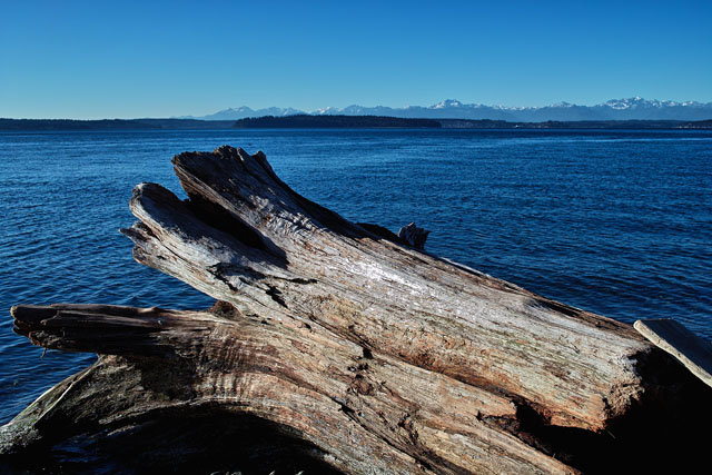 Lincoln Park 11_d.jpg