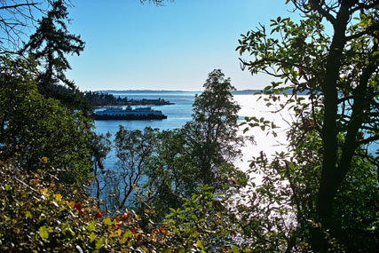 Lincoln Park 5_640.jpg