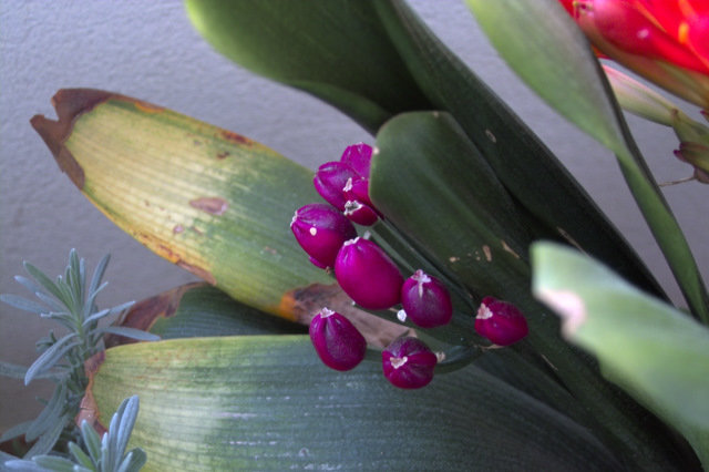 IMG00342.jpg