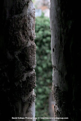 _SDI0075.jpg