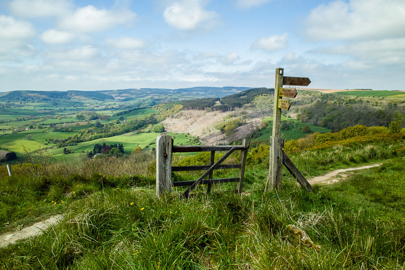 SDIM0084.jpg