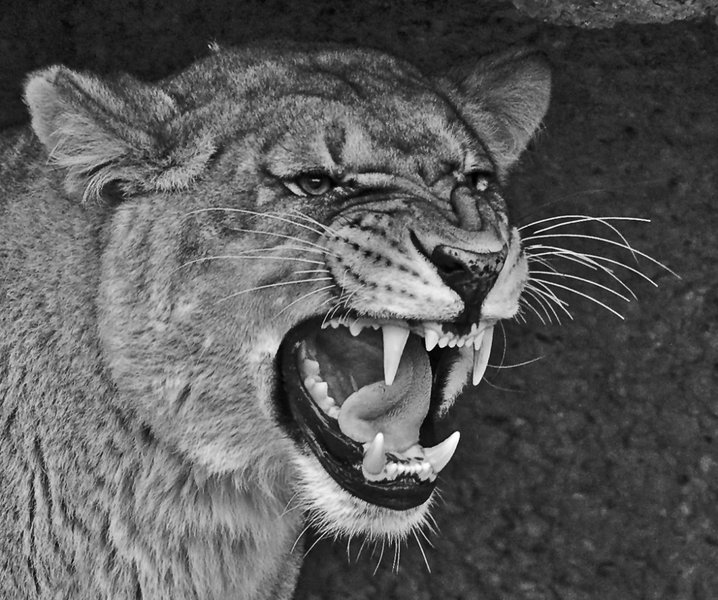 DSC_1424.jpg