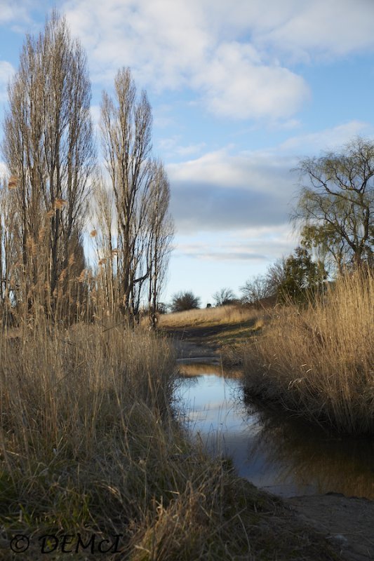 Michelago_CxN24-85_DMC5691 sml.jpg