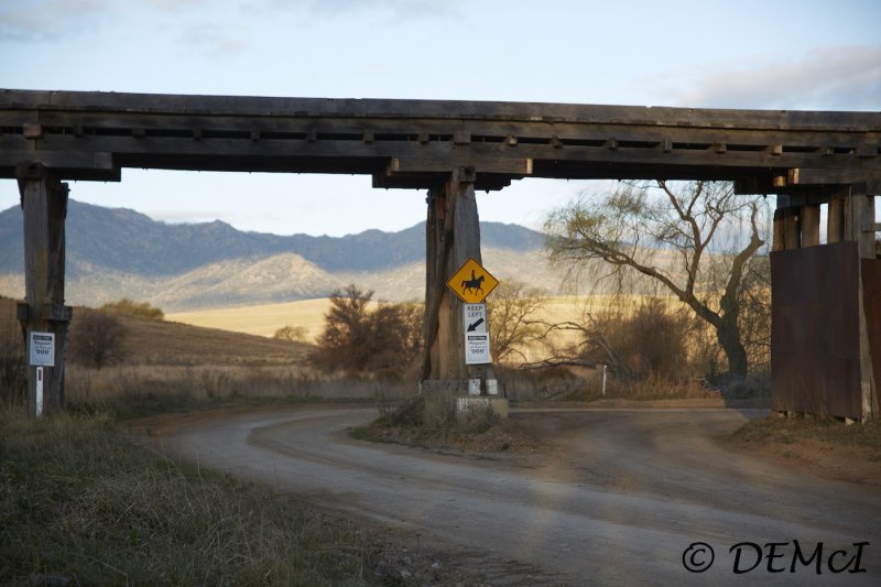 Michelago_CxN24-85_DMC5693 sml.jpg