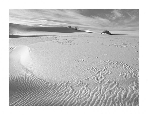 White Sand Dunes,NM007394-1.jpg