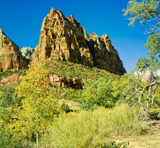 Zion-2.jpg