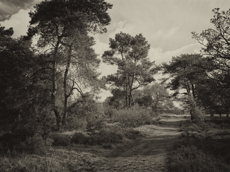 Orvelte mei 13_0001a.jpg
