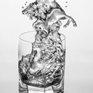 Glass water horse sm.jpg