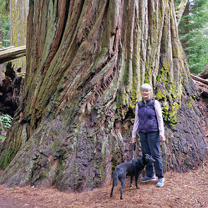 DSC_7417_DxO.jpg