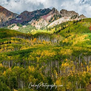 Crested Butte-4454.jpg