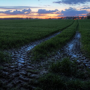 P4130902-P4130906-dprf.jpg