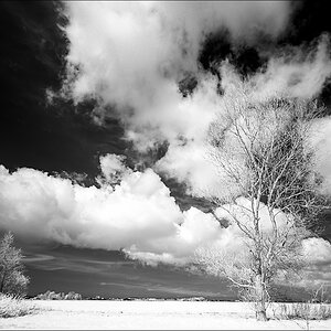 IRGP8169-Wandeling-10-24-triple-filter-ISO320-dt_01_v1_filtered-2023-web.jpg