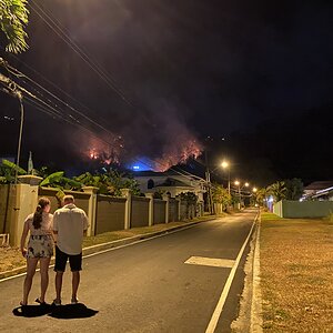 IMG_1013.jpeg