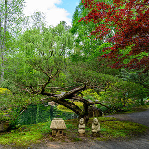 Gibbs Gardens 230416 - 51.jpg