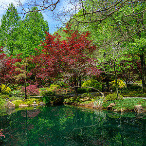 Gibbs Gardens 230416 - 59.jpg