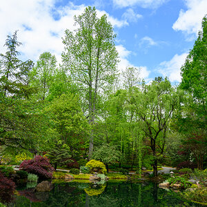 Gibbs Gardens 230416 - 50.jpg
