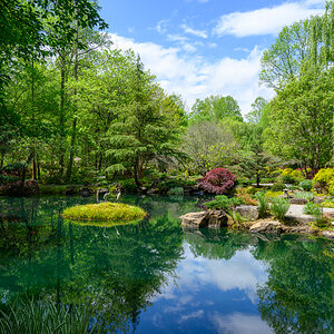 Gibbs Gardens 230416 - 53.jpg