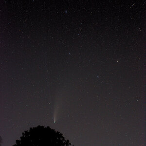 Neowise & Big Dipper_fin.jpg