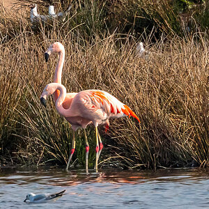 2023-04-18_17-12-08#5617-Edit.jpg