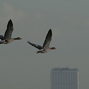 Img_1521.jpg