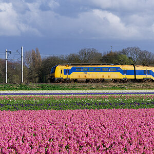 DSC02389_DxO.jpg