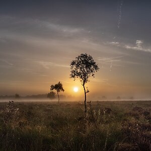 moorland sunrise.jpeg