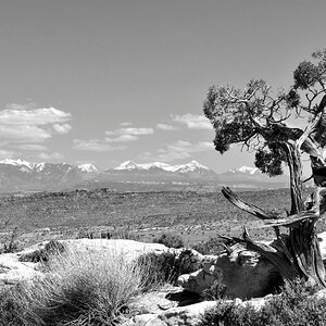 Arches Nat Park_0701438C_01.JPG
