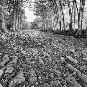 MedinaRiverDrought_IMG_1035-m1_M_6x4_20230426.jpg