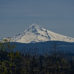 Mt.Hood zoomed.jpg