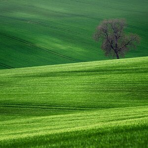 _1FX8232_1~(2).jpg