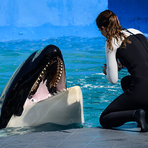 Miami Seaquarium 140713-45.jpg