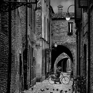 _1FX6938 BW~(1)~(1).jpg