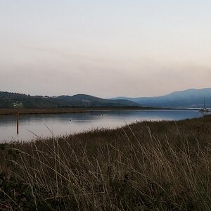 IMG_1822.jpeg