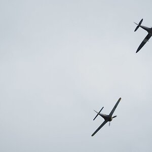 IMG_0434.jpeg
