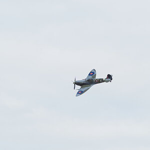 IMG_0801.jpeg