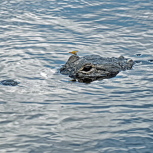 P1200995-4_DxO.jpg