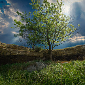 _IMG1849_DxO_1920.jpg