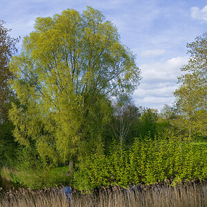 23-04-30B-DPR.jpg