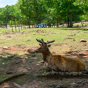 Safari Park 230430 - 14.jpg