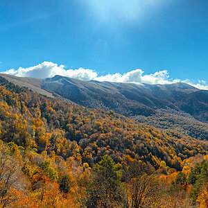 [Group 0]-_P0Q0409__P0Q0415-3 images_0000_2000.jpg