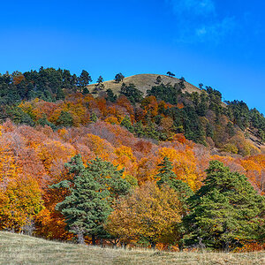 [Group 0]-_P2Q5467__P2Q5527_hdr-images_0000_2000 copy.jpg