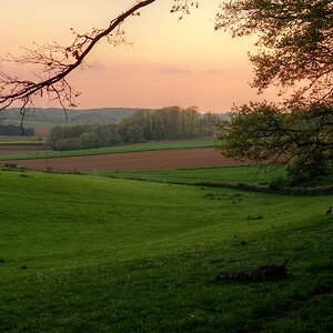 P5011118-P5011121-dprf.jpg
