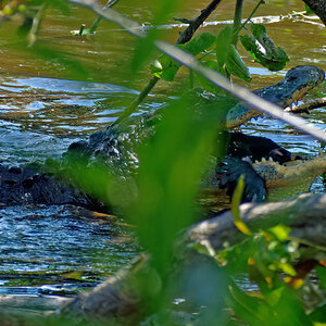 P1250430_DxO.jpg