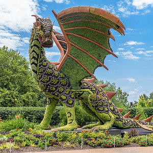 ABG-190623-41.jpg