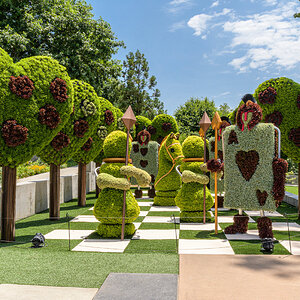 ABG-190623-46-Edit.jpg