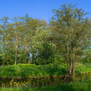 23-05-03F-DPR.jpg