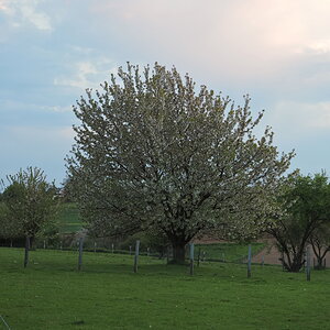 P5041151-dprf.JPG